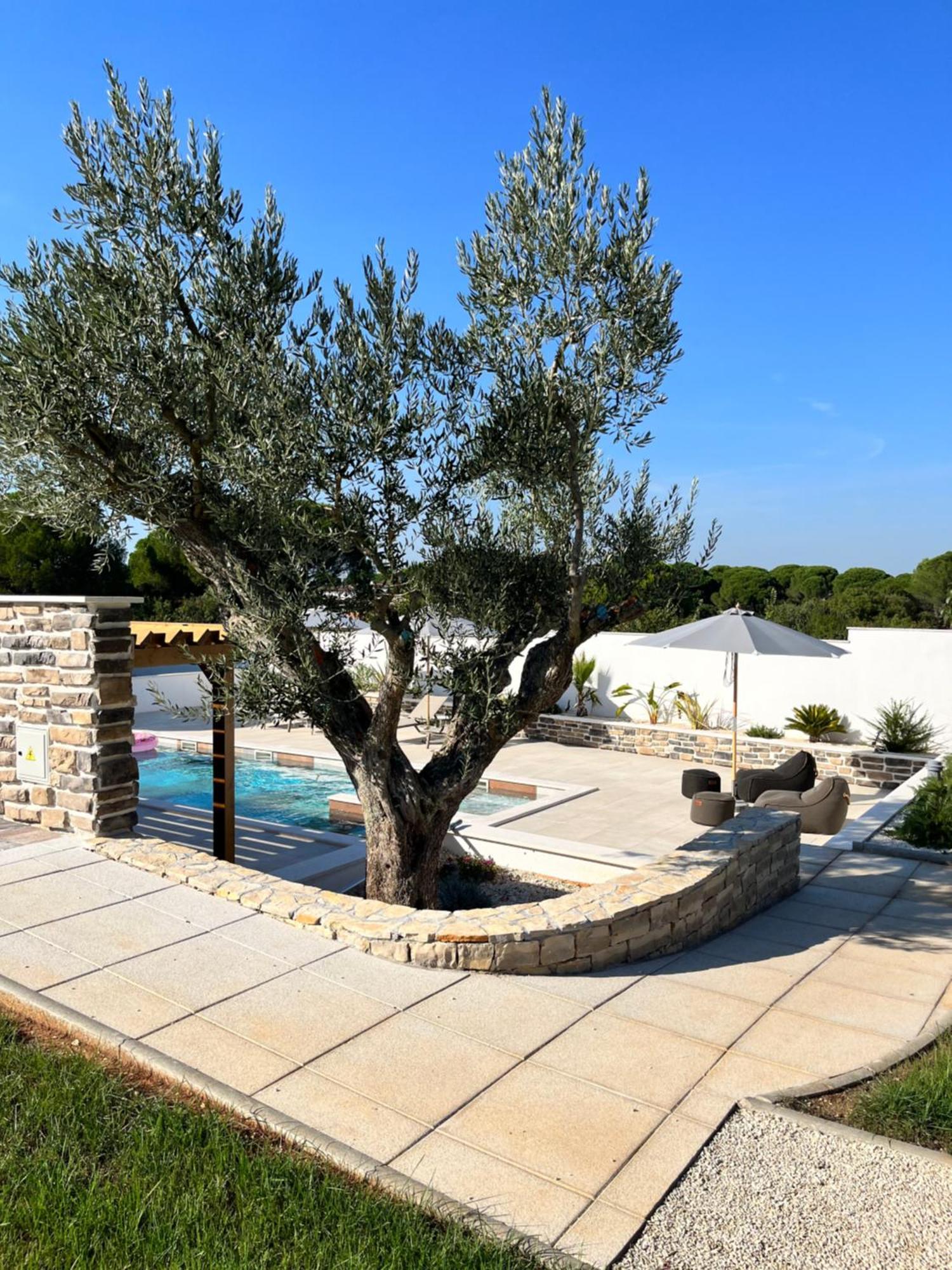 Olivea Luxury Suites Fažana Exteriör bild